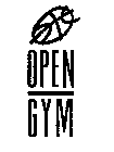 OPEN GYM