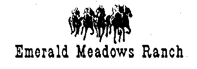 EMERALD MEADOWS RANCH