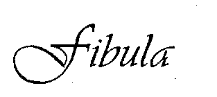 FIBULA