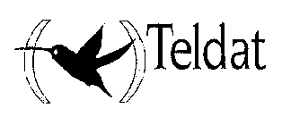 TELDAT