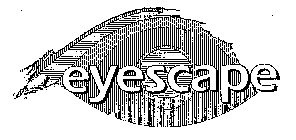 EYESCAPE