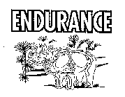 ENDURANCE