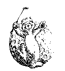 Image Trademark