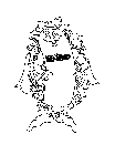 MR. HERO