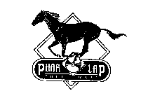 PHAR LAP SOFTWARE