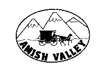 AMISH VALLEY
