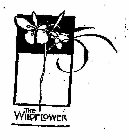 THE WILDFLOWER