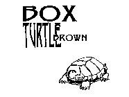 BOX TURTLE BROWN