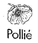 POLLIE