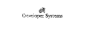 DSI DEVELOPER SYSTEMS