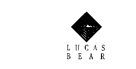 LUCAS BEAR