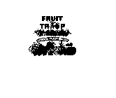 FRUIT TROOP SCHOOL FRUIT SNACK