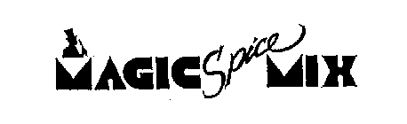 MAGIC SPICE MIX