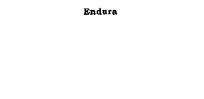 ENDURA
