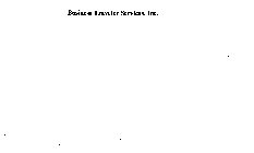 BUSINESS TRAVELER SERVICES, INC.