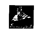STRATIGENT