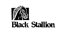 BLACK STALLION