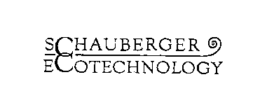 SCHAUBERGER ECOTECHNOLOGY