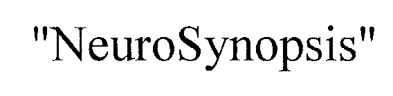 NEUROSYNOPSIS