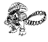 Image Trademark