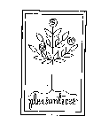 PLEASANTREES