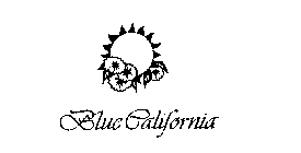 BLUE CALIFORNIA