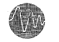 VIBRATION INSTITUTE