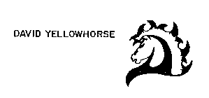 DAVID YELLOWHORSE