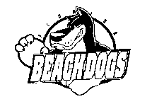 FLORIDA BEACHDOGS