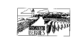 PESCADERO BERRIES