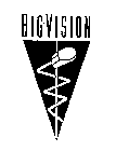 BIGVISION