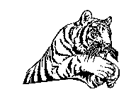 Image Trademark