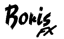 BORIS FX