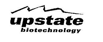 UPSTATE BIOTECHNOLOGY