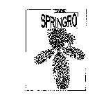 SPRINGRO