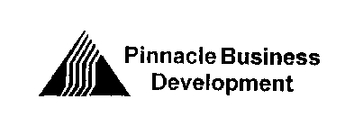 PINNACLE BUSINESS DEVELOPMENT