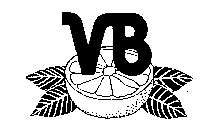 VB