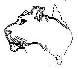 Image Trademark