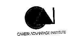 CAREER ADVANTAGE INSTITUTE