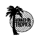 HOOKED ON TROPICS