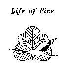 LIFE OF PINE