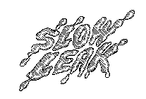 SLOW LEAK