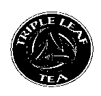 TRIPLE LEAF TEA