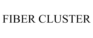 FIBER CLUSTER