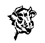 Image Trademark