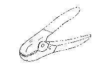 Image Trademark