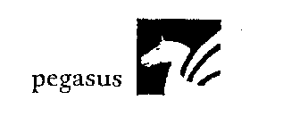 PEGASUS