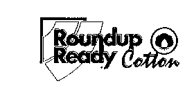 ROUNDUP READY COTTON