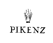 PIKENZ