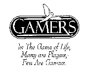 GAMERS IN THE GAME OF LIFE, MANY ARE PLAYERS, FEW ARE GAMERS.